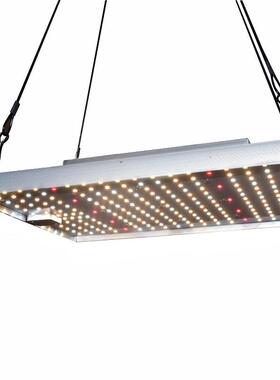 第3代LED植物生长灯quantum board量子板150w加红光花卉补光灯