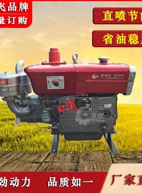水泵柴油机 ZS195P 12马力 单缸循环水 常飞牌 厂家直销