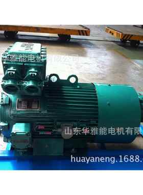 高原YXKK450-12-315KW电机耐高温YXKK450-12-315电机功能强大