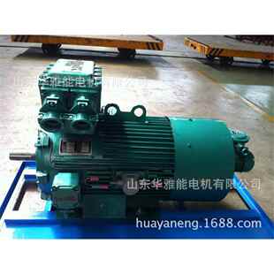 315电机功能强大 315KW电机耐高温YXKK450 高原YXKK450