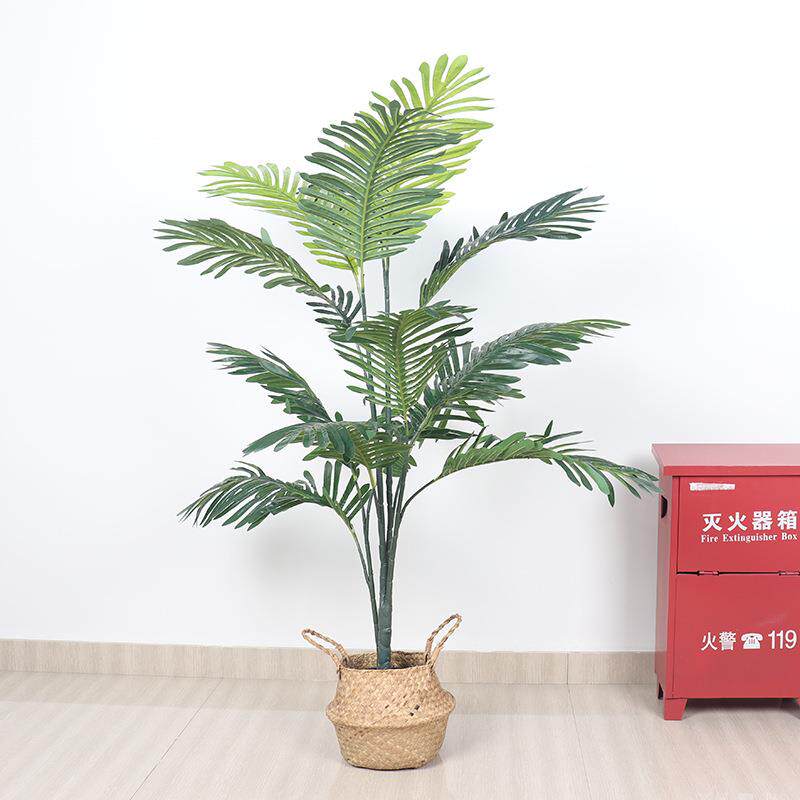 北欧风室内装饰真葵树大型散尾葵珍珠葵电商出口假树盆栽