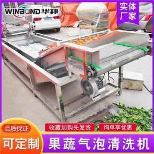 大葱生海姜加菜工清洗机 带裙带清洗流水线 多功能泡529气清洗机