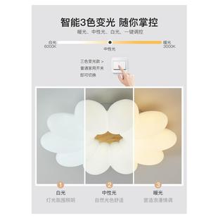 创意客厅灯具奶油风温馨浪漫花朵儿童房卧室灯简约原木房间吸顶灯