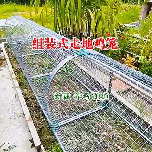走地铁网鸡笼跑道养鸡隧道笼子农场户外溜达鸡笼子庭院农家用散养