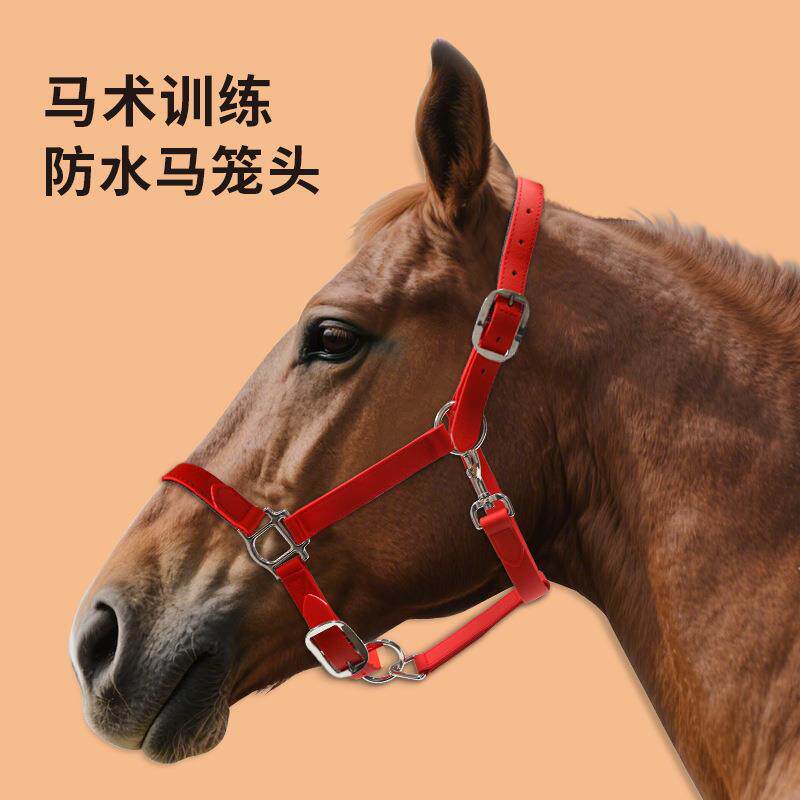 马笼头绳子马术用品马笼套大小矮马龙头马具型全套防水耐磨马笼头