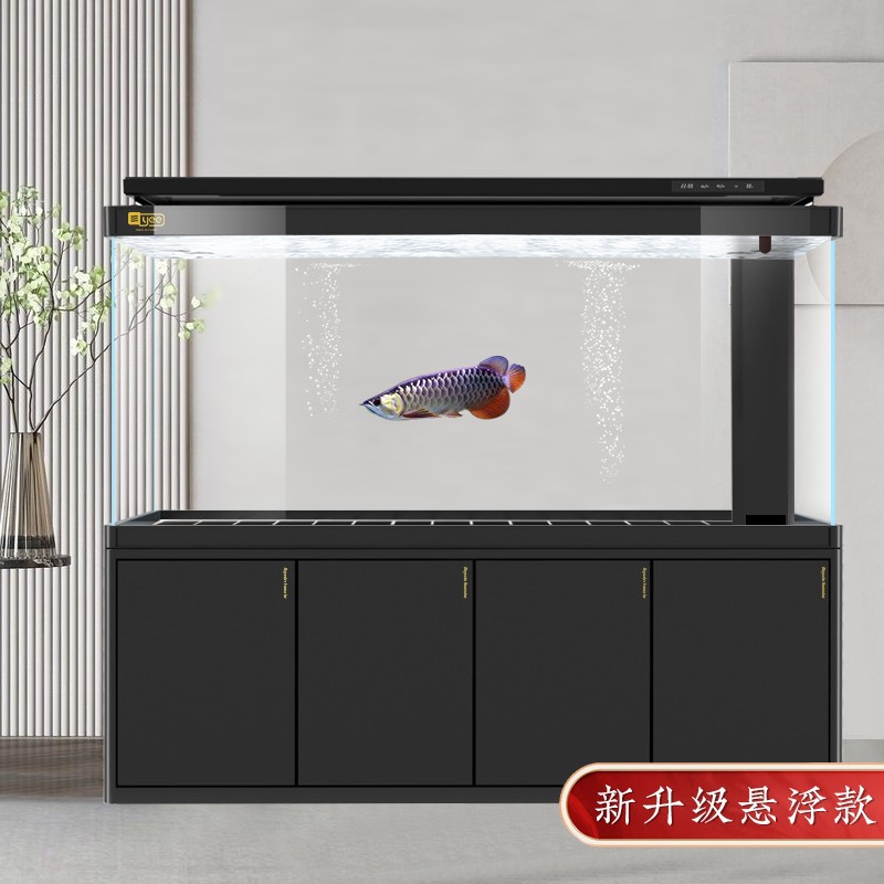 中大型鱼缸加宽龙鱼大型水族箱底滤下过滤玻璃客厅大鱼缸
