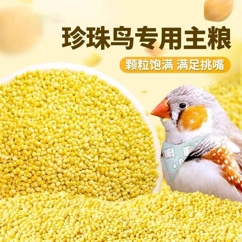 珍珠鸟专用带壳黄谷子文鸟鹦鹉营养鸟粮鸟食十姐妹七彩麻雀饲料