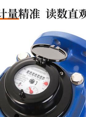 宁波WS-螺翼式水表法兰大口径水厂物业垂直式冷水表国标80100150