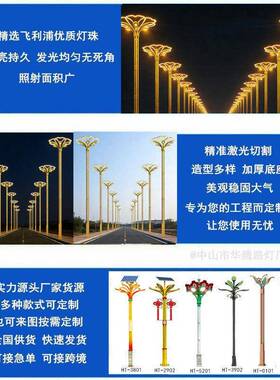 路华腾工厂HSM定制市政道照明玉兰灯合中华灯智组能路灯杆ELD路灯