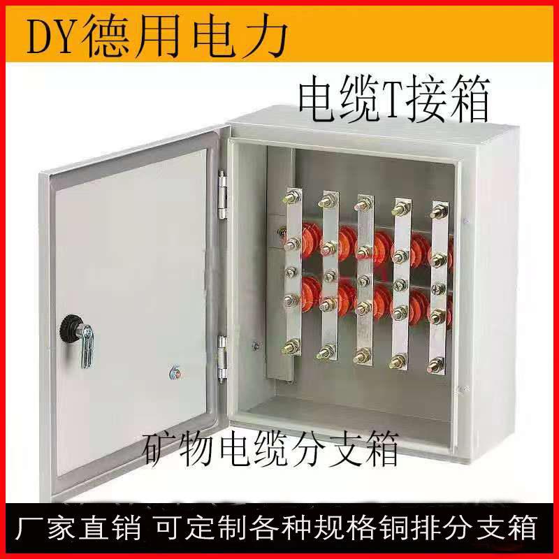 矿物电缆分支箱铜排T接转换配电箱分线低压楼层桥架T接端子绝缘箱