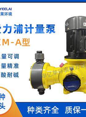 爱力浦机械隔膜计量泵JXM-A加药计量泵污水处理可调节流量