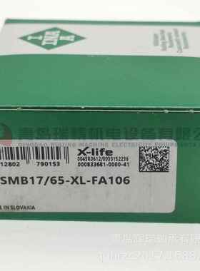 外圈带胶套轴承RCSMB17/65-XL-FA106RCSM40/65RAE17-XL-NPP-B