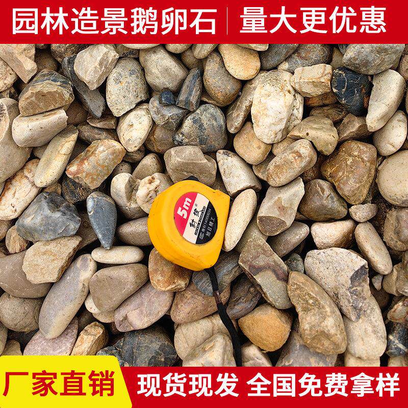 江苏天然鹅卵石变电站石头2-12公分园林造景河滩景观铺地石子