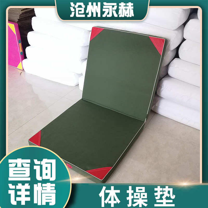 仰卧起坐运动舞蹈垫垫子体操垫有机硅帆布折叠体操垫