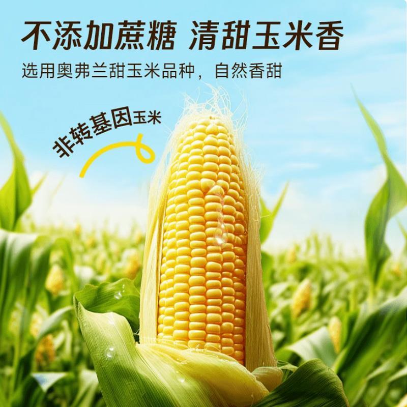 北纬47度水果玉米汁谷物饮料自然香甜营养245ml*8瓶清爽好喝粗粮