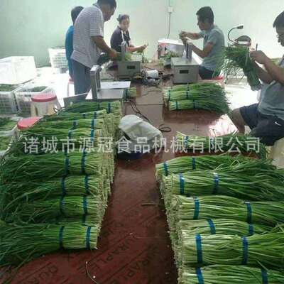 快速韭菜去皮机不锈钢小葱蒜黄去泥吹皮机自动感应韭菜脱皮机现货