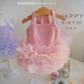 宠物公主裙猫咪衣服春夏季 结婚纱礼服芭蕾泰迪狗狗生日蓬蓬裙纱裙
