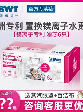bwt滤芯原装进口镁离子滤芯家用过滤水壶滤芯倍世净水壶滤芯6祇