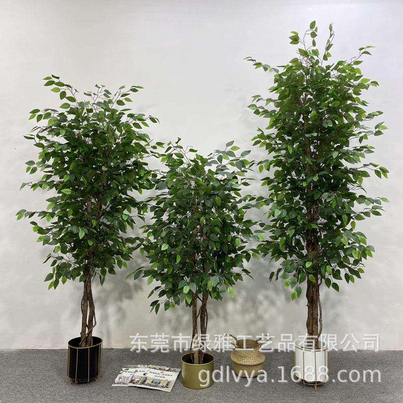 人造真树杆小榕树仿真白边榕树假绿植盆栽过胶迷你榕客厅造景装饰