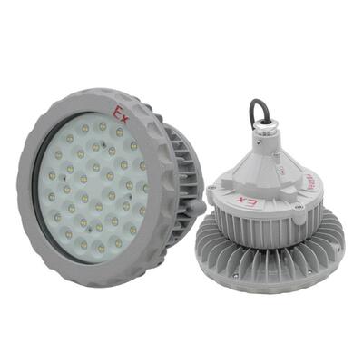 50wLED防爆灯灯照明灯 80W100W150W加油站仓库车间厂房防爆工矿灯