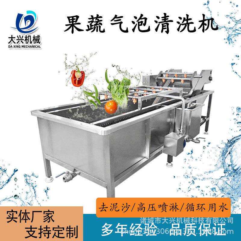 鸭肉冻肉解冻清洗机杨梅西红柿气泡清洗机大型蔬菜药材清洗机