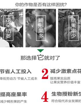 授粉熊蜂雄蜂番茄黄瓜授粉草莓蓝莓授粉约100只（蜂王工蜂）6-8周