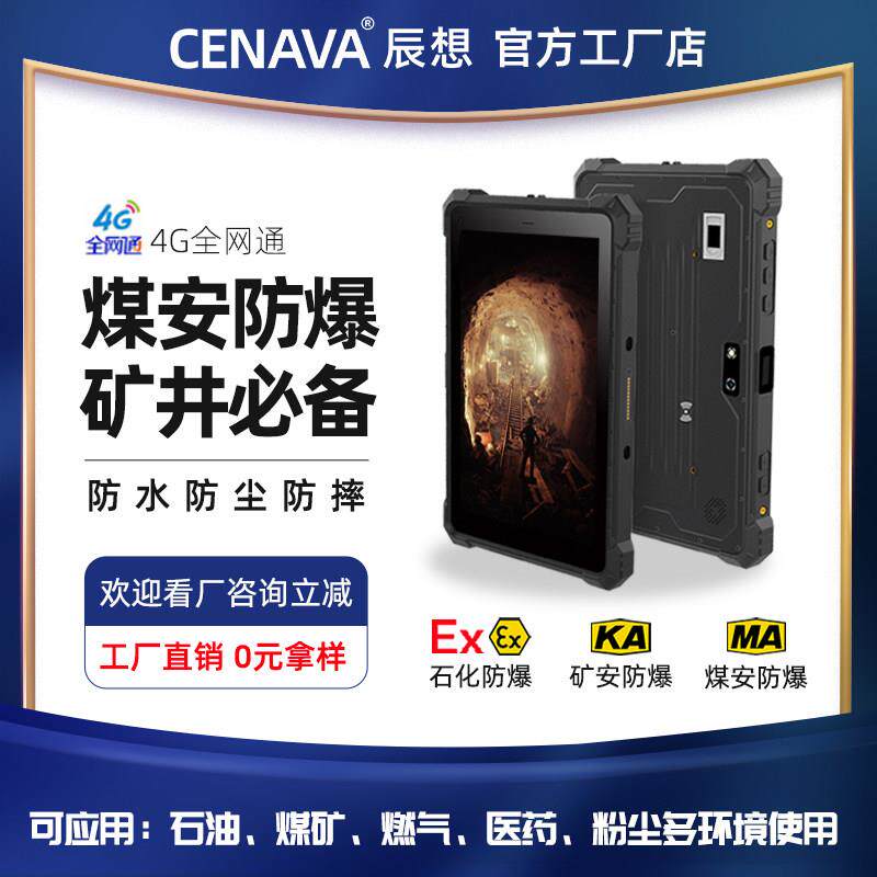 辰想W10N/10.1寸工业三防平板电脑防爆车载加固平板windows10系统