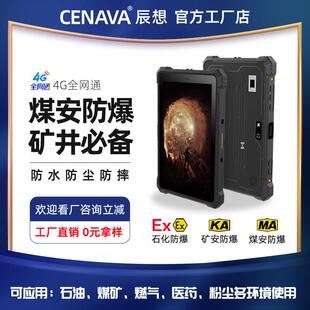 辰想W10N/10.1寸工业三防平板电脑防爆车载加固平板windows10系统