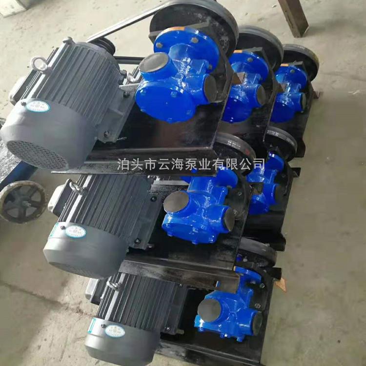 供应NCB-30/0.5高粘度泵内啮合转子泵泊头泵厂家