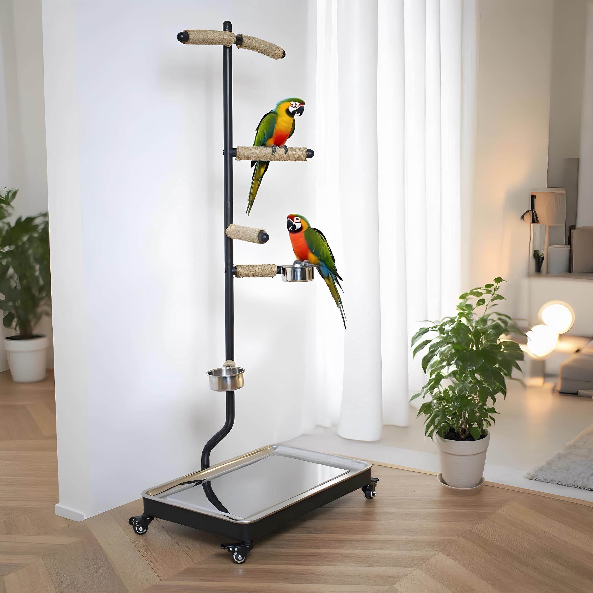 大型鹦鹉鸟站架玄凤和尚金刚葵花落地式树枝式站杆大中小型训鸟架