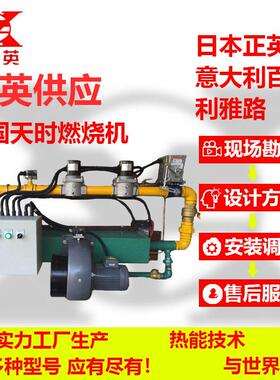 供应美国天时工业燃气燃烧器生物质RTO废气直燃炉等温燃烧设备