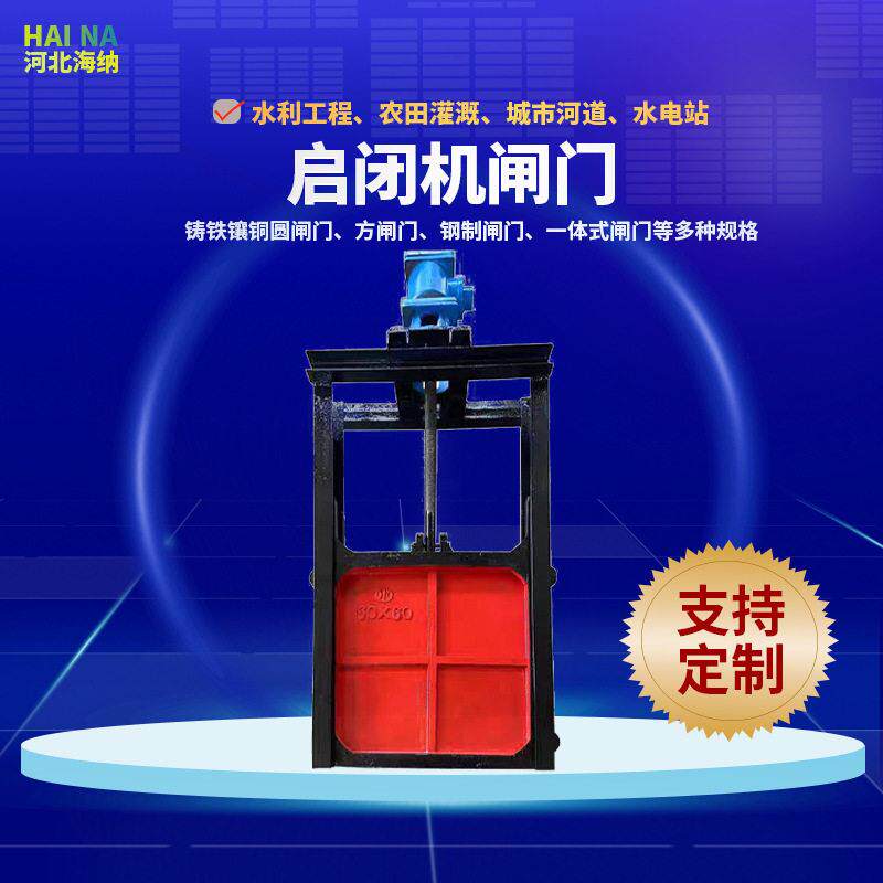 铸铁双向手电两用止水闸门镶铜方形渠道水库污水电动启闭机一体式