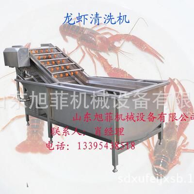 龙虾清洗机 洗虾机 鱼类虾类清洗线 鱼虾加工设备
