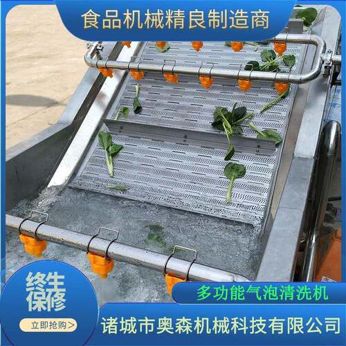 全自动果蔬清洗机莴笋压喷淋果蔬清洗机芸豆西红柿清洗设备
