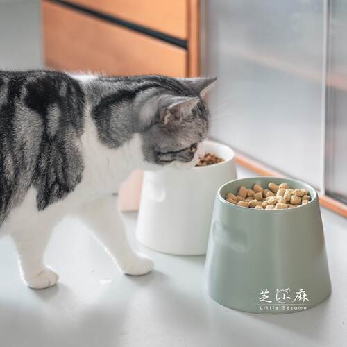 芝小麻小众设计宠物陶瓷碗釉下彩高脚猫碗狗碗保护颈椎防打翻粮碗