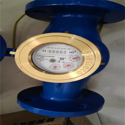LXS-50广州自来水表UPVC塑料水表卧式水表04L不锈钢16L立式水表
