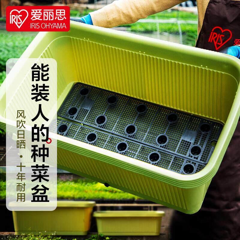 IRIS长方形花盆大号塑料阳台种菜盆蔬菜种菜专用箱种植箱爱丽丝
