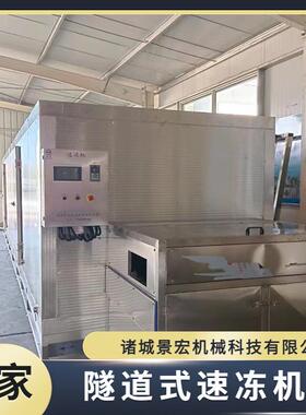 商用厂供隧道式速冻机大型玉米面食蔬菜海鲜八爪鱼鳗鱼速冻生产线