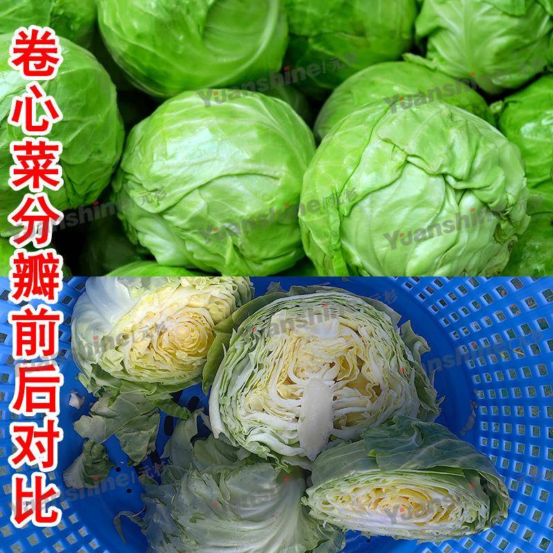 源头厂家果蔬分瓣机泡菜酸菜分瓣机圆白菜木瓜分半机