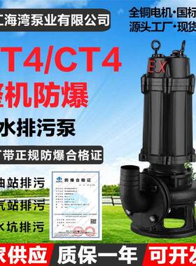 WQB正宗防爆潜水泵EX隔爆型BT4CT4加油站加气站LNG站排污水泵
