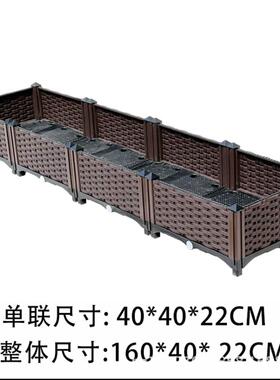 自由组合绿化种植家庭园艺花瓶