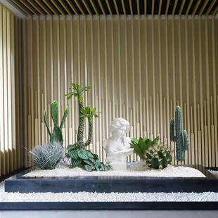 仿真仙人掌直播间装饰摆件大型植物仙人柱盆栽室内橱窗造景假绿植