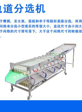全PRR自子动分机轨道选式大小选机荔枝龙眼李百筛香果分选厂家直