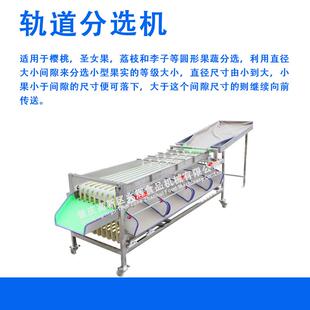 全自动分选BUT机轨道式大小筛选机荔分枝龙子眼李百香果选厂家直