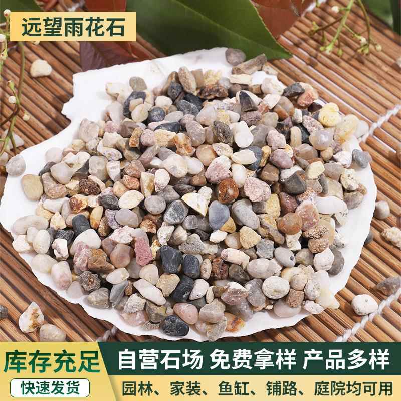 滤料 汗蒸房地暖回填豆石小石头污水处理过滤砂石子小粒雨花石