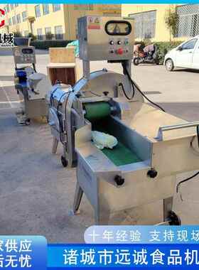 叶胡菜根茎切片切类丝机远诚 萝卜切丁机 片土豆切机设备 厂家供