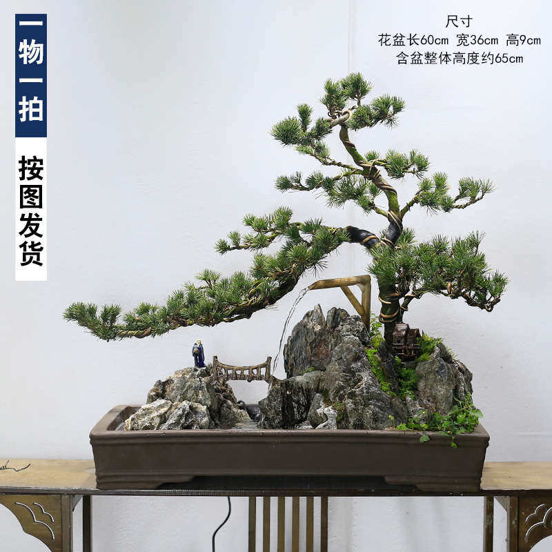 五针松盆景植物老桩室内山水假山摆件客厅办公室前台大型绿植盆