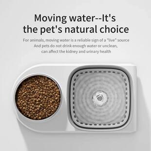 2in1 Cats Feeding Automatic and Fountain Water Cat Drinker