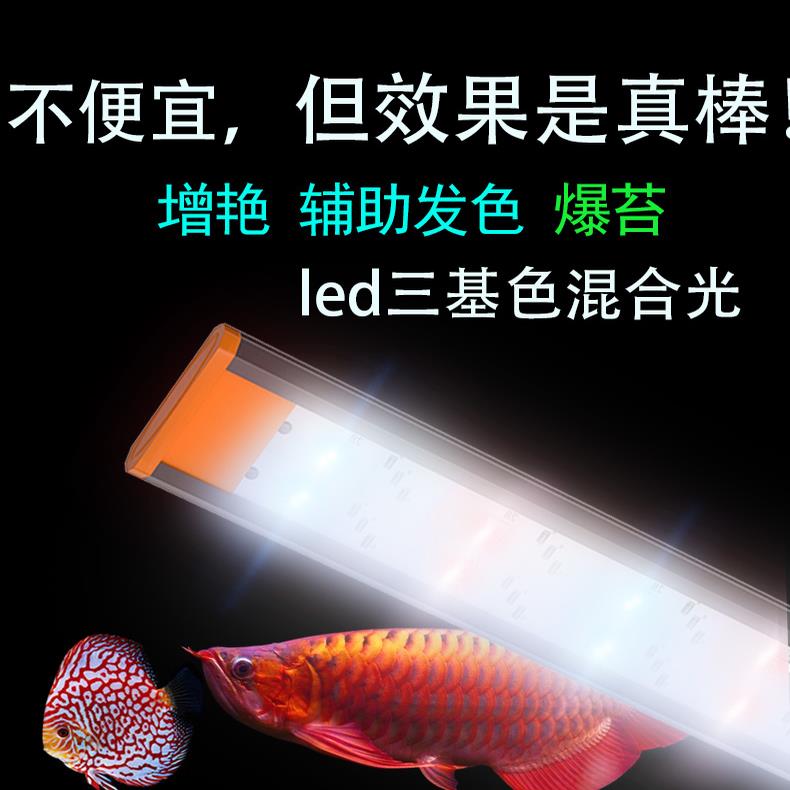 七彩神仙专用灯红龙灯罗汉鱼缸灯锦鲤灯金鱼鹦鹉三湖鱼恋之光led