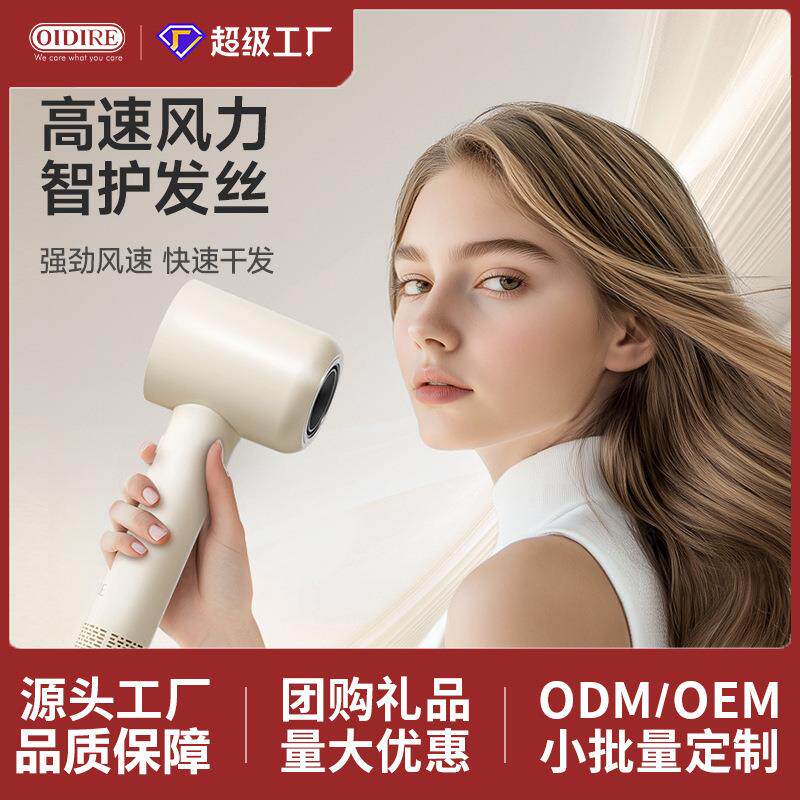 高速电吹风机家用大风力恒温负离子护发速干